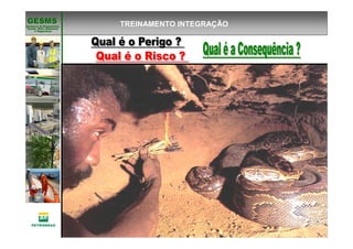 Gerência de Engenharia,Gerência de Engenharia,
SaSaúúde, Meio Ambientede, Meio Ambiente
e Segurane Seguranççaa
GESMSGESMS TREINAMENTO INTEGRAÇÃO
 