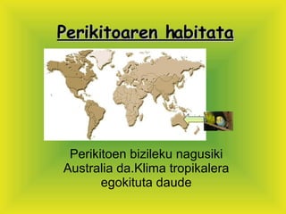 Perikitoaren habitata Perikitoen bizileku nagusiki Australia da.Klima tropikalera egokituta daude 