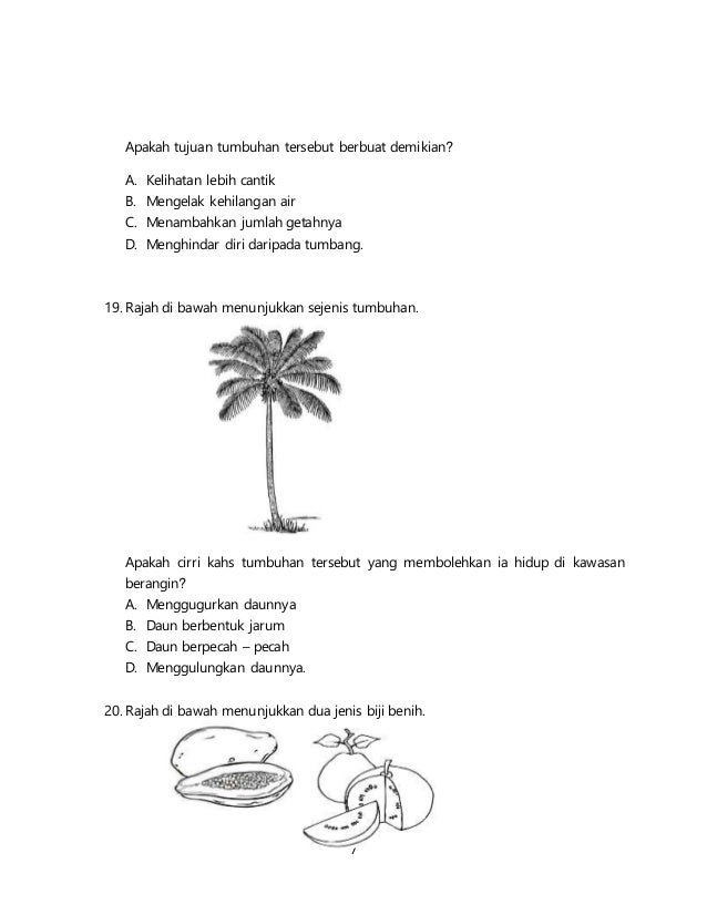 Sains T5