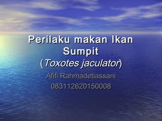 Perilaku makan Ikan
       Sumpit
  (Toxotes jaculator)
   Afifi Rahmadetiassani
    083112620150008
 