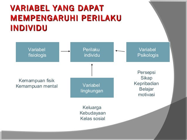 Faktor Faktor Yang Mempengaruhi Kepribadian Dalam Perilaku Organisasi