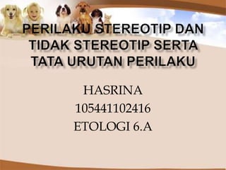 HASRINA
105441102416
ETOLOGI 6.A
 