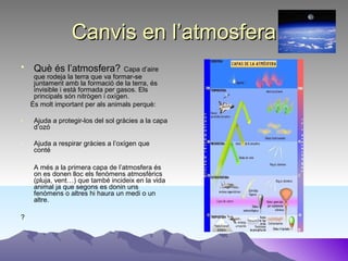 Canvis en l’atmosferaCanvis en l’atmosfera
• Què és l’atmosfera? Capa d’aire
que rodeja la terra que va formar-se
juntament amb la formació de la terra, és
invisible i està formada per gasos. Els
principals són nitrògen i oxígen.
És molt important per als animals perquè:
- Ajuda a protegir-los del sol gràcies a la capa
d’ozó
- Ajuda a respirar gràcies a l’oxígen que
conté
- A més a la primera capa de l’atmosfera és
on es donen lloc els fenòmens atmosfèrics
(pluja, vent…) que també incideix en la vida
animal ja que segons es donin uns
fenòmens o altres hi haura un medi o un
altre.
?
 