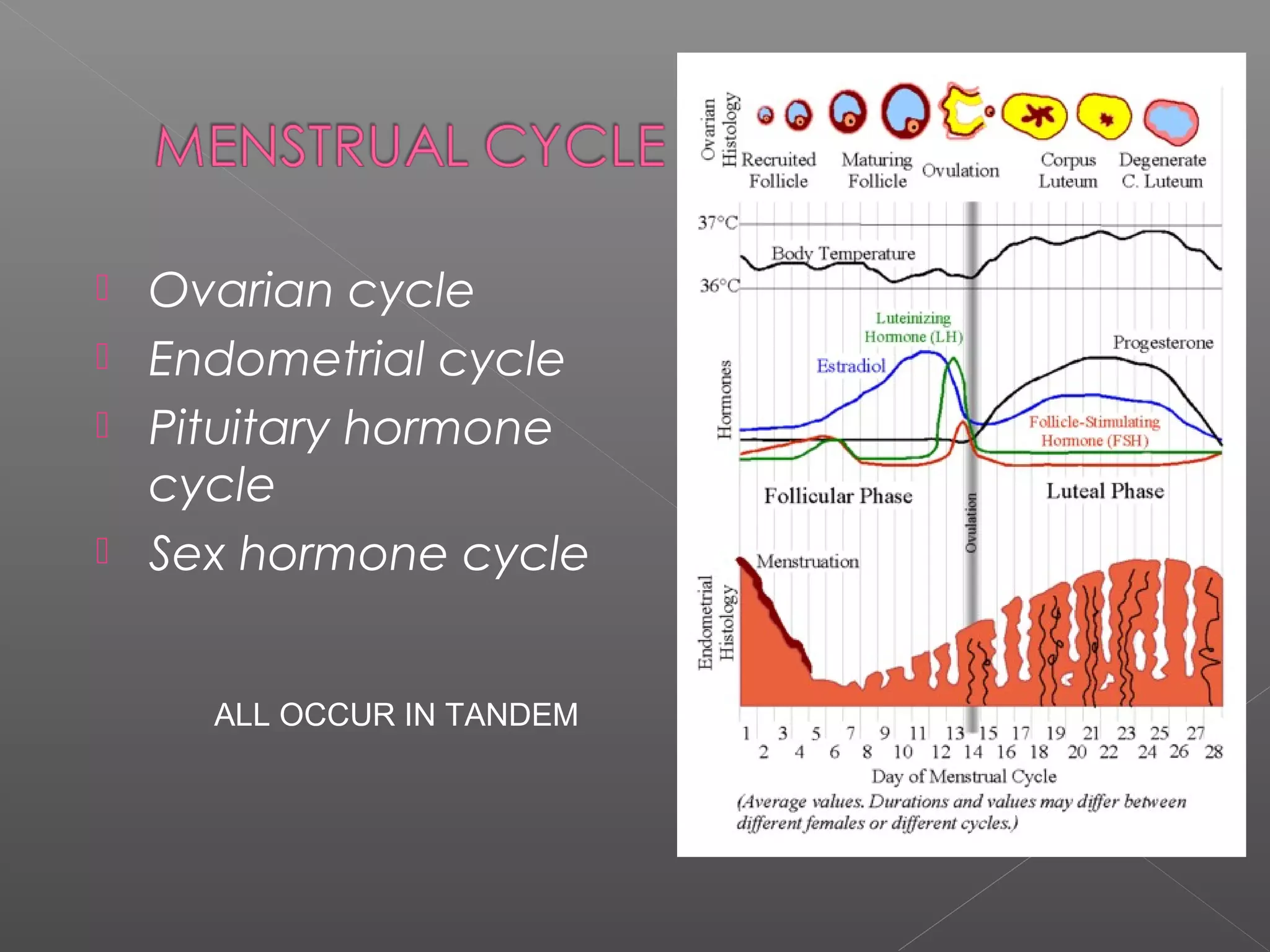  Ovarian cycle
 Endometrial cycle
 Pituitary hormone
cycle
 Sex hormone cycle
ALL OCCUR IN TANDEM
 