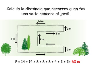 Calcula la distància que recorres quan fas
una volta sencera al jardí.
P = 14 + 14 + 8 + 8 + 8 + 4 + 2 + 2= 60 m
 