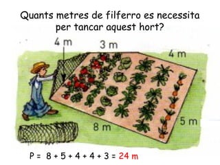 Quants metres de filferro es necessita
per tancar aquest hort?
P = 8 + 5 + 4 + 4 + 3 = 24 m
 