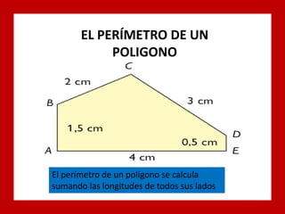 EL PERÍMETRO DE UN
POLIGONO
El perímetro de un polígono se calcula
sumando las longitudes de todos sus lados
 