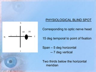Visual Field Examination | PPTX