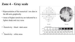 Comprehensive Overview of Perimetry and Visual Field Testing in ...