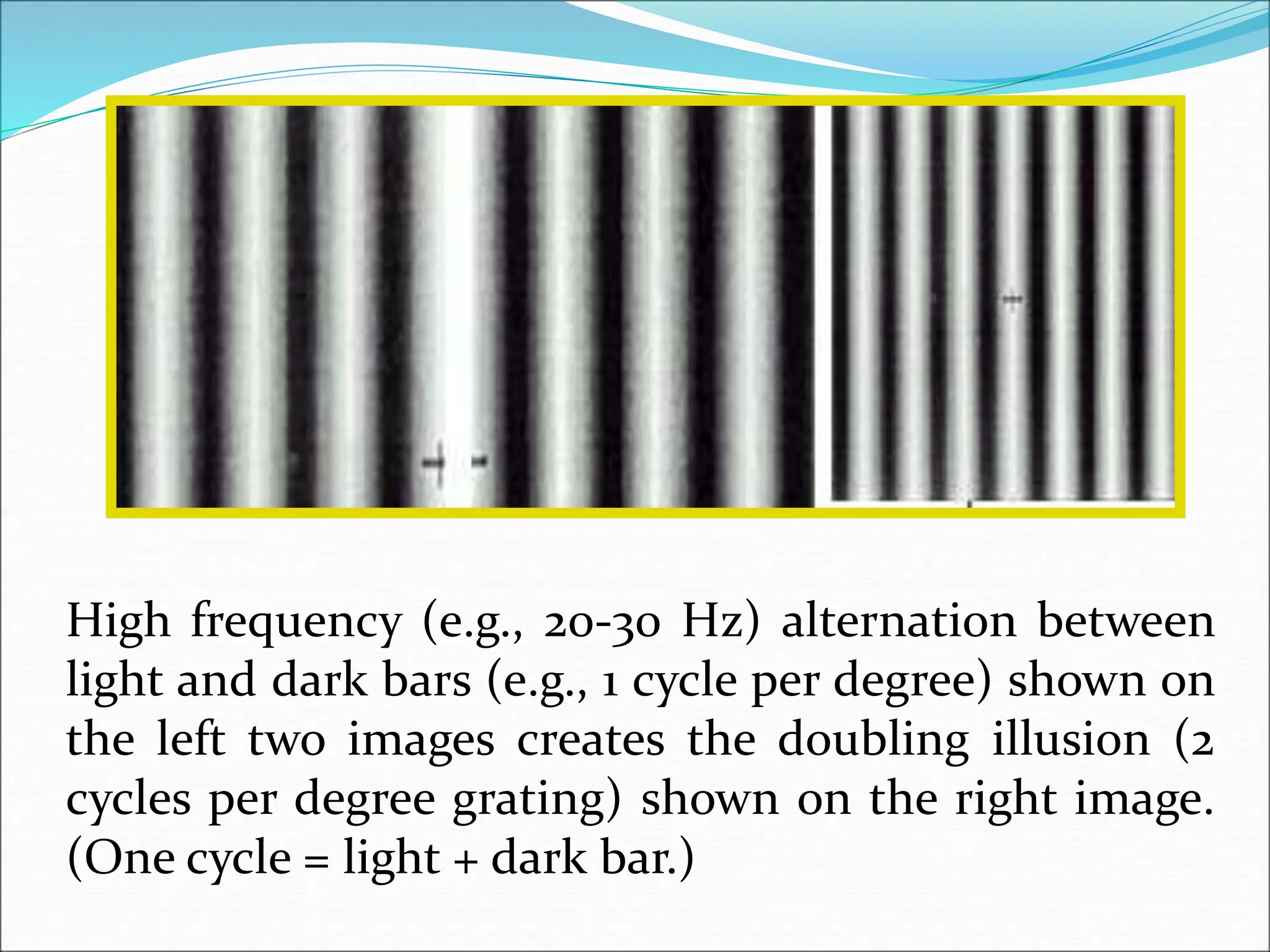 High frequency (e.g., 20-30 Hz) alternation between
light and dark bars (e.g., 1 cycle per degree) shown on
the left two images creates the doubling illusion (2
cycles per degree grating) shown on the right image.
(One cycle = light + dark bar.)
 