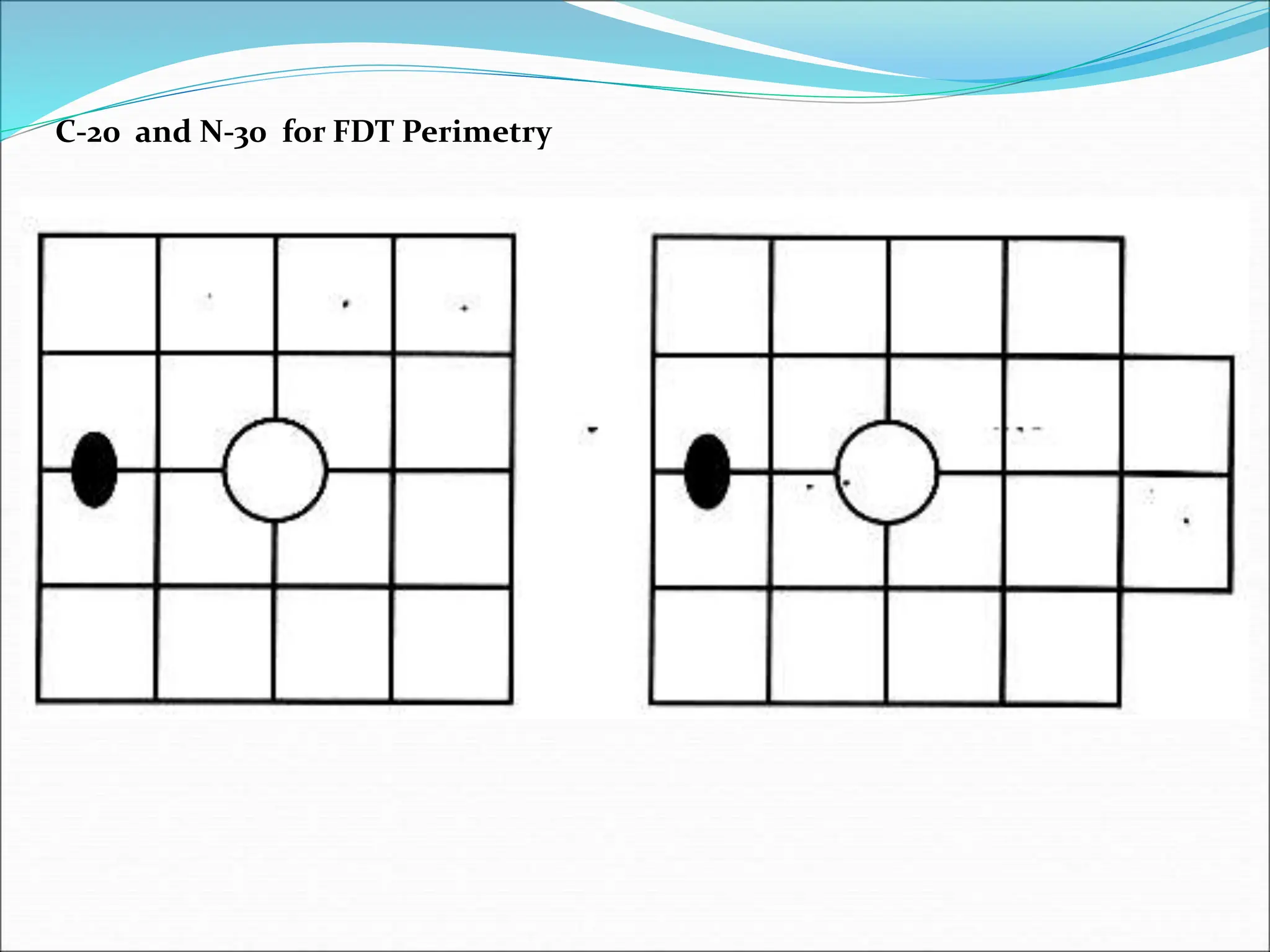 C-20 and N-30 for FDT Perimetry
 
