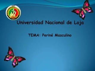 Universidad Nacional de Loja
TEMA: Periné Masculino
 