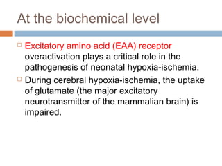 At the biochemical level
 Excitatory amino acid (EAA) receptor
overactivation plays a critical role in the
pathogenesis of neonatal hypoxia-ischemia.
 During cerebral hypoxia-ischemia, the uptake
of glutamate (the major excitatory
neurotransmitter of the mammalian brain) is
impaired.
 