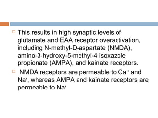  This results in high synaptic levels of
glutamate and EAA receptor overactivation,
including N-methyl-D-aspartate (NMDA),
amino-3-hydroxy-5-methyl-4 isoxazole
propionate (AMPA), and kainate receptors.
 NMDA receptors are permeable to Ca++
and
Na+
, whereas AMPA and kainate receptors are
permeable to Na+
 