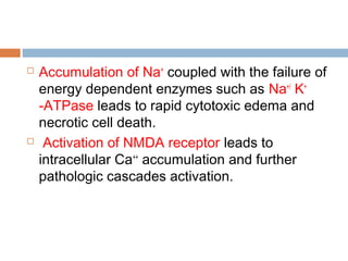  Accumulation of Na+
coupled with the failure of
energy dependent enzymes such as Na+/
K+
-ATPase leads to rapid cytotoxic edema and
necrotic cell death.
 Activation of NMDA receptor leads to
intracellular Ca++
accumulation and further
pathologic cascades activation.
 