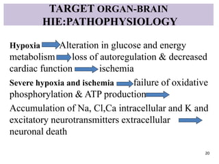 TARGET ORGAN-BRAIN
HIE:PATHOPHYSIOLOGY
Hypoxia Alteration in glucose and energy
metabolism loss of autoregulation & decreased
cardiac function ischemia
Severe hypoxia and ischemia failure of oxidative
phosphorylation & ATP production
Accumulation of Na, Cl,Ca intracellular and K and
excitatory neurotransmitters extracellular
neuronal death
20
 