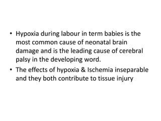 • Hypoxia during labour in term babies is the
most common cause of neonatal brain
damage and is the leading cause of cerebral
palsy in the developing word.
• The effects of hypoxia & Ischemia inseparable
and they both contribute to tissue injury
 