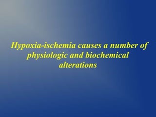 Hypoxia-ischemia causes a number of
physiologic and biochemical
alterations
 