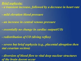 Brief asphyxia:
- a transient increase, followed by a decrease in heart rate
- mild elevation blood pressure
- an increase in central venous pressure
- essentially no change in cardiac output(CO)
- redistribution of CO (diving reflex)
- severe but brief asphyxia (e.g., placental abruption then
stat cesarian section)
- diversion of blood flow to vital deep nuclear structures
of the brain doesnt occur
 