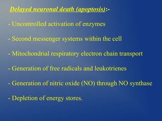 Delayed neuronal death (apoptosis):-
- Uncontrolled activation of enzymes
- Second messenger systems within the cell
- Mitochondrial respiratory electron chain transport
- Generation of free radicals and leukotrienes
- Generation of nitric oxide (NO) through NO synthase
- Depletion of energy stores.
 