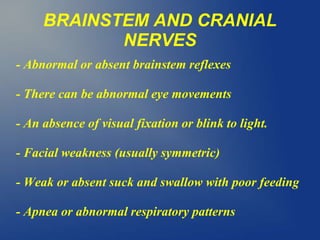 BRAINSTEM AND CRANIAL
NERVES
- Abnormal or absent brainstem reflexes
- There can be abnormal eye movements
- An absence of visual fixation or blink to light.
- Facial weakness (usually symmetric)
- Weak or absent suck and swallow with poor feeding
- Apnea or abnormal respiratory patterns
 