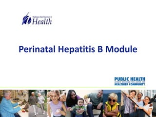 Perinatal Hepatitis B Module
 