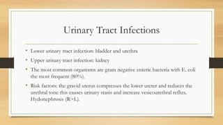 Urinary Tract Infections
• Lower urinary tract infection: bladder and urethra
• Upper urinary tract infection: kidney
• The most common organisms are gram negative enteric bacteria with E. coli
the most frequent (80%).
• Risk factors: the gravid uterus compresses the lower ureter and reduces the
urethral tone this causes urinary stasis and increase vesicourethral reflux.
Hydonephrosis (R>L).
 