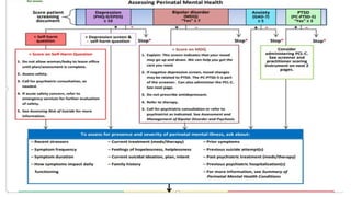 Perinatal Psychiatric Disorder.pptx