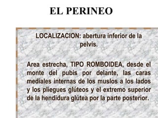 EL PERINEO
LOCALIZACION: abertura inferior de la
pelvis.
Area estrecha, TIPO ROMBOIDEA, desde el
monte del pubis por delante, las caras
mediales internas de los muslos a los lados
y los pliegues glúteos y el extremo superior
de la hendidura glútea por la parte posterior.
 