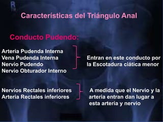 Características del Triángulo Anal
Conducto Pudendo:
Arteria Pudenda Interna
Vena Pudenda Interna Entran en este conducto por
Nervio Pudendo la Escotadura ciática menor
Nervio Obturador Interno
Nervios Rectales inferiores A medida que el Nervio y la
Arteria Rectales inferiores arteria entran dan lugar a
esta arteria y nervio
 