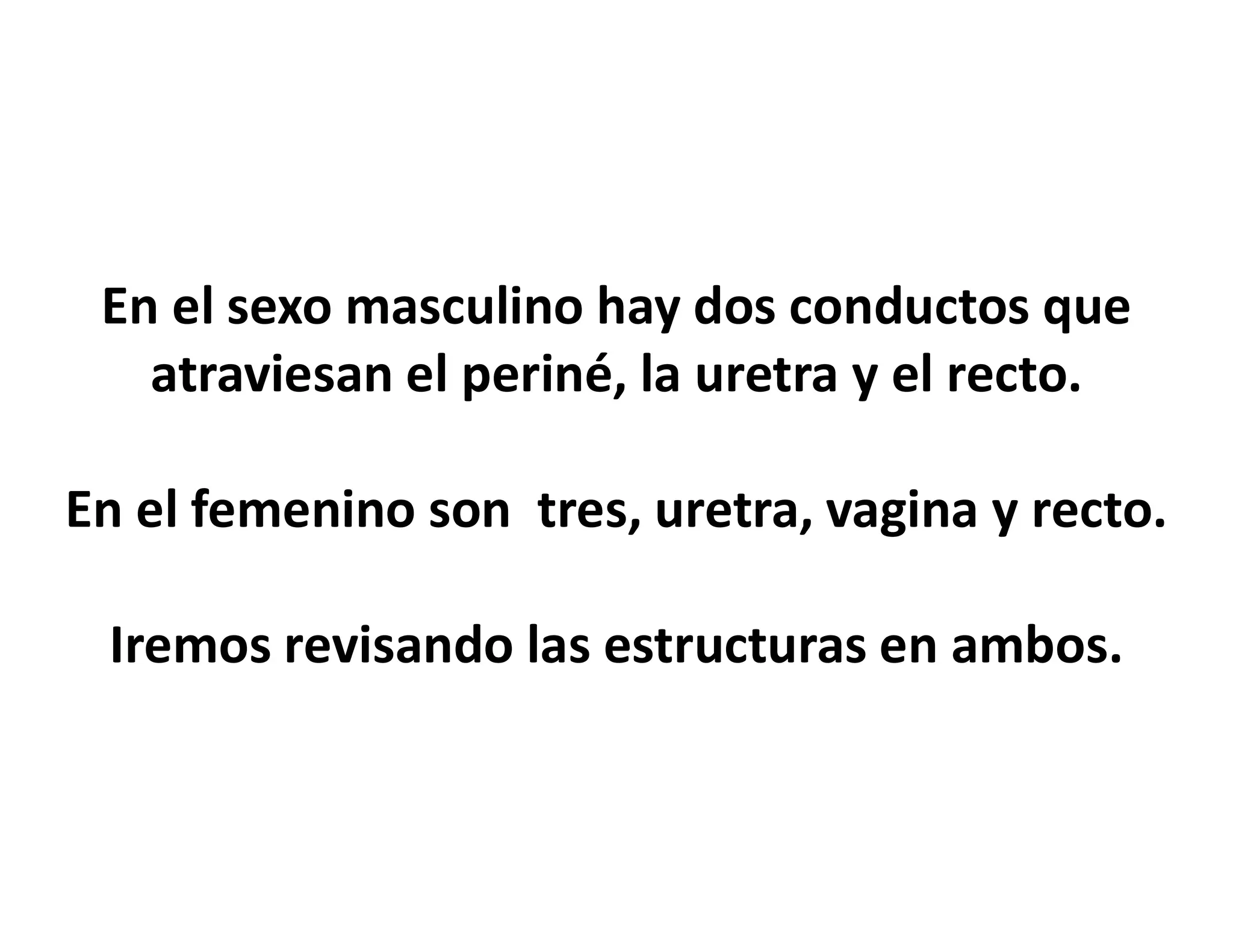 Periné. Anatomía | PPT