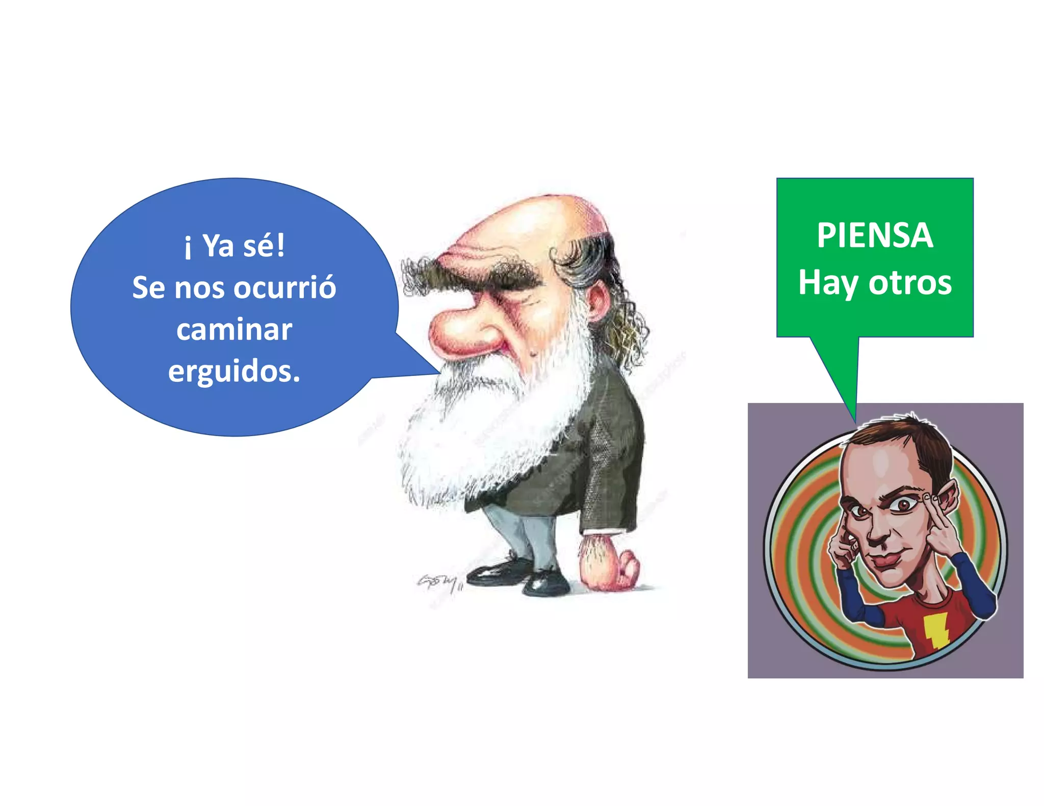 Periné. Anatomía | PPT
