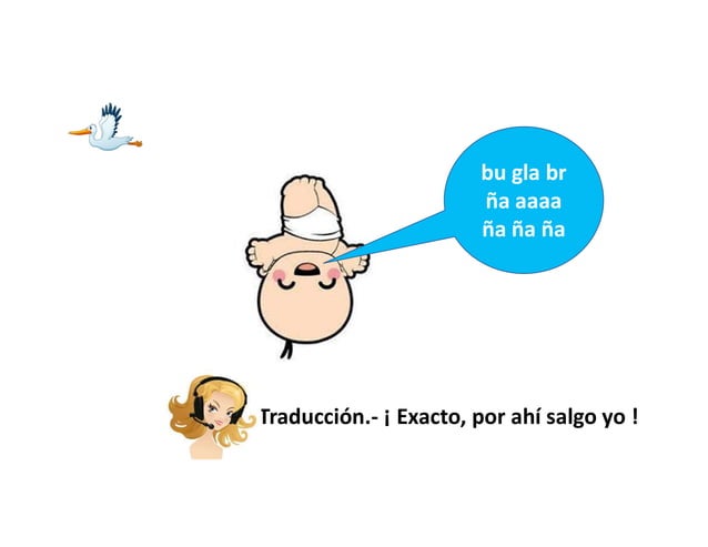 Periné. Anatomía | PPT