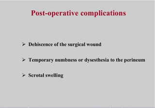 Perineal urethrostomy