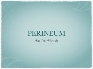 PERINEUM
By Dr. Piyush
 