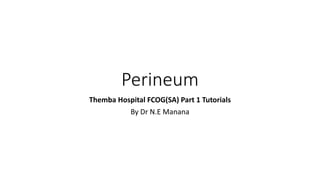 Perineum
Themba Hospital FCOG(SA) Part 1 Tutorials
By Dr N.E Manana
 