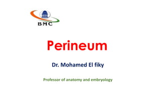 Perineum
Dr. Mohamed El fiky
Professor of anatomy and embryology
 