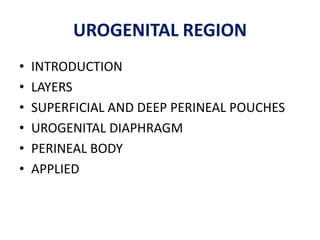 UROGENITAL REGION
•   INTRODUCTION
•   LAYERS
•   SUPERFICIAL AND DEEP PERINEAL POUCHES
•   UROGENITAL DIAPHRAGM
•   PERINEAL BODY
•   APPLIED
 