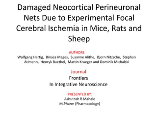 Damaged Neocortical Perineuronal
Nets Due to Experimental Focal
Cerebral Ischemia in Mice, Rats and
Sheep
AUTHORS
Wolfgang Hartig, Binaca Mages, Susanne Alithe, Bjorn Nitzsche, Stephan
Atlmann, Henryk Baethel, Martin Krueger and Dominik Michalski
Journal
Frontiers
In Integrative Neuroscience
PRESENTED BY:
Ashutosh B Mahale
M.Pharm (Pharmacology)
 