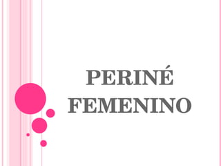 PERINÉ FEMENINO 