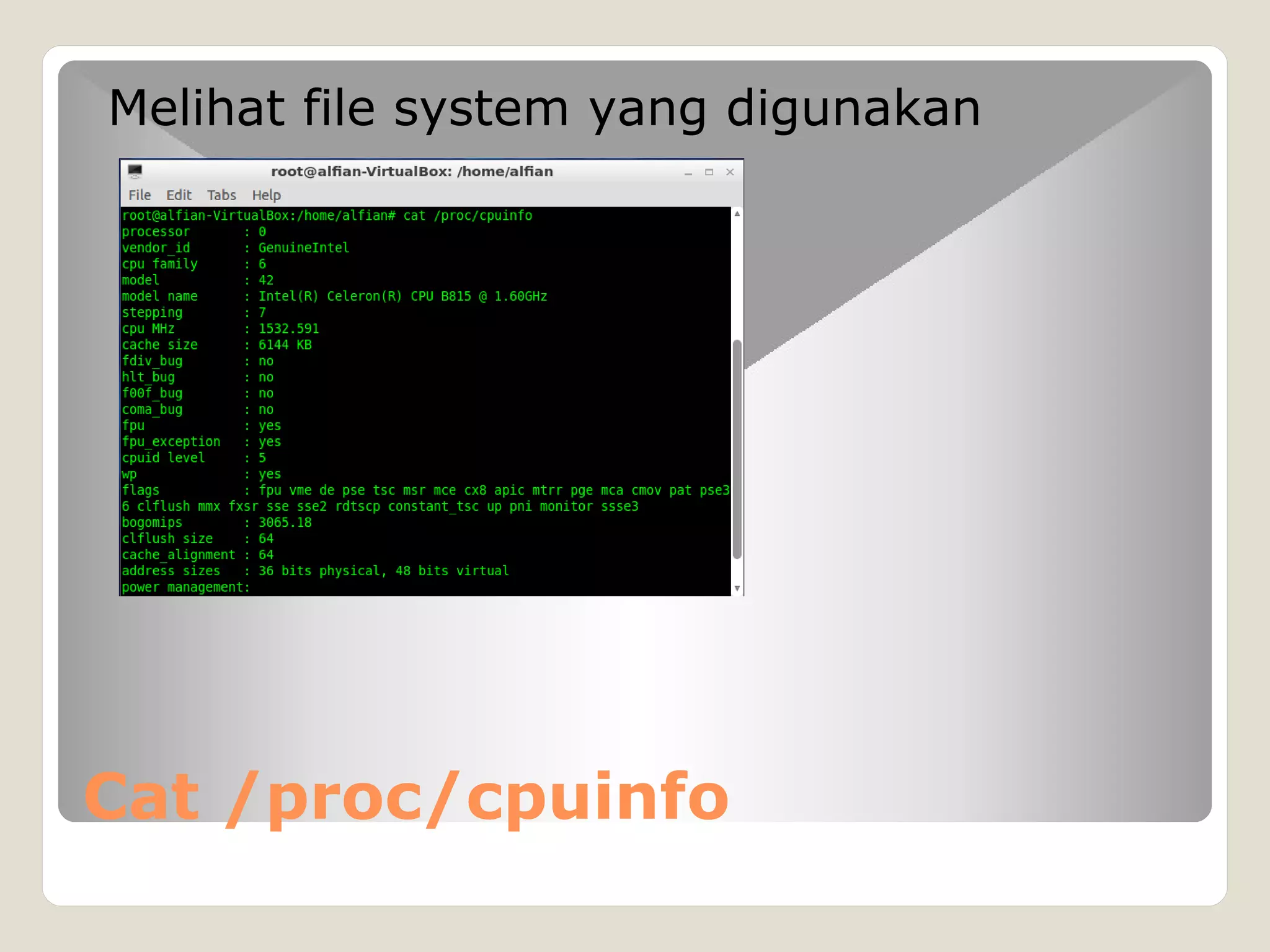 Cat /proc/cpuinfo
Melihat file system yang digunakan
 