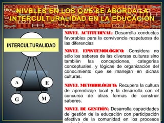 NIVEL ACTITUDINAL: Desarrolla conductas
favorables para la convivencia respetuosa de
las diferencias
NIVEL EPISTEMOLÓGICO: Considera no
sólo los saberes de las diversas culturas sino
también las concepciones, categorías
conceptuales, y lógicas de organización del
conocimiento que se manejan en dichas
culturas.
NIVEL METODOLÓGICO: Recupera la cultura
de aprendizaje local y la desarrolla con el
concurso de otras formas de construir
saberes.
NIVEL DE GESTIÓN: Desarrolla capacidades
de gestión de la educación con participación
efectiva de la comunidad en los procesos
INTERCULTURALIDAD
G
EA
M
NIVELES EN LOS QUE SE ABORDA LA
INTERCULTURALIDAD EN LA EDUCACIÓN
 