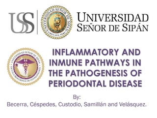 INFLAMMATORY AND
INMUNE PATHWAYS IN
THE PATHOGENESIS OF
PERIODONTAL DISEASE
By:
Becerra, Céspedes, Custodio, Samillán and Velásquez.
 