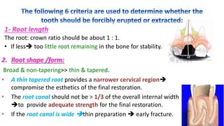 The root: crown ratio should be about 1 : 1.
• If less too little root remaining in the bone for stability.
1- Root length
2. Root shape /form:
Broad & non-tapering>> thin & tapered.
• A thin tapered root provides a narrower cervical region
compromise the esthetics of the final restoration.
• The root canal should not be > 1/3 of the overall internal width
to provide adequate strength for the final restoration.
• If the root canal is wide thin preparation  early fracture.
 
