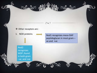 Other receptors are :

1. NOD proteins
                          Nod1 recognizes meso-DAP
                          peptidoglycan in most gram –
                          ve and +ve

  Nod2
  recognizes
  MDP ,found
  in both gram
  –ve and +ve
 