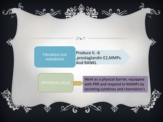 Fibroblast and    • Produce IL -6
   osteoblasts       ,prostaglandin E2,MMPs.
                     And RANKL


                         Work as a physical barrier, equipped
EPITHELIAL CELLS         with PRR and respond to MAMPs by
                         secreting cytokines and chemokine's
 
