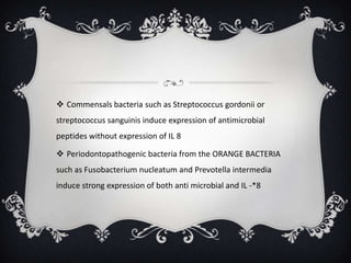  Commensals bacteria such as Streptococcus gordonii or
streptococcus sanguinis induce expression of antimicrobial
peptides without expression of IL 8

 Periodontopathogenic bacteria from the ORANGE BACTERIA
such as Fusobacterium nucleatum and Prevotella intermedia
induce strong expression of both anti microbial and IL -*8
 