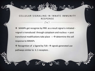 C E L L U L A R S I G N A L I N G I N I N N AT E I M M U N I T Y
                              RESPONSE



 MAMPs get recognize by PRR as a result signal is initiated -
>signal is transduced through cytoplasm and nucleus -> post
transitional modifications take place --- determine the cell
response to MMAPs

 Recognition of a ligand by TLR-- signals generated use
pathways similar to IL 1 receptors .
 