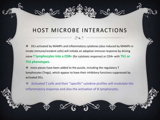 H O ST M I C RO B E I N T E R AC T I O N S

 DCs activated by MAMPs and inflammatory cytokines (also induced by MAMPs in
innate immune/resident cells) will initiate an adaptive immune response by driving
naive T lymphocytes into a CD8+ (for cytotoxic response) or CD4+ with Th1 or
Th2 phenotypes.
 more pieces have been added to the puzzle, including the regulatory T
lymphocytes (Tregs), which appear to have their inhibitory functions suppressed by
activated DCs.
 Activated T cells and their “specific” cytokine profiles will modulate the
inflammatory response and also the activation of B lymphocytes.
 