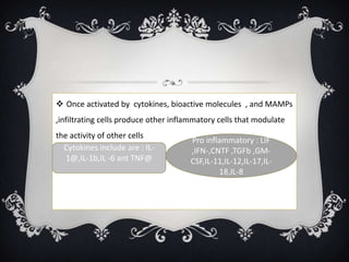  Once activated by cytokines, bioactive molecules , and MAMPs
,infiltrating cells produce other inflammatory cells that modulate
the activity of other cells
                                      Pro inflammatory : LIF
  Cytokines include are : IL-         ,IFN-,CNTF ,TGFb ,GM-
 Ccytkines include
   1@,IL-1b,IL -6 ant TNF@            CSF,IL-11,IL-12,IL-17,IL-
                                              18,IL-8
 